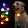 Dog Collar Light