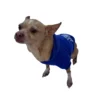 The Dog Face Pet Jacket - SMALL DOGS ONLY