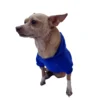 The Dog Face Pet Jacket - SMALL DOGS ONLY