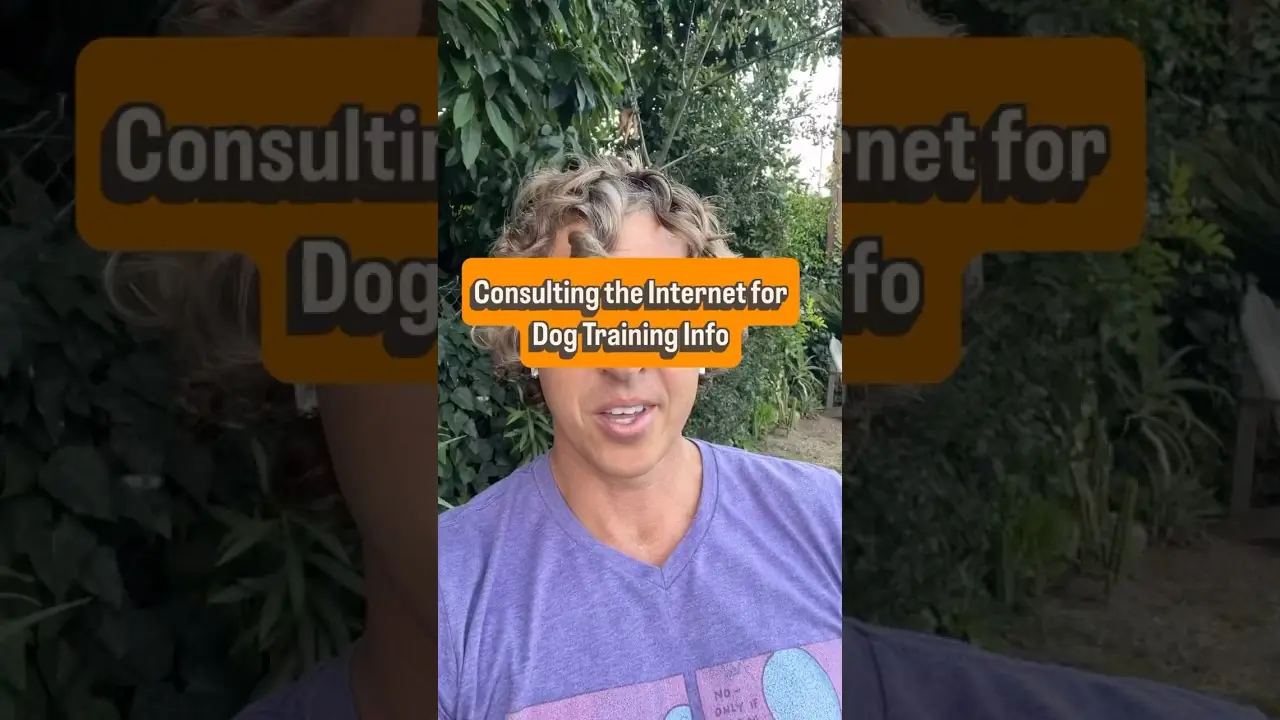 Noah Urbina on dog training and information on the internet