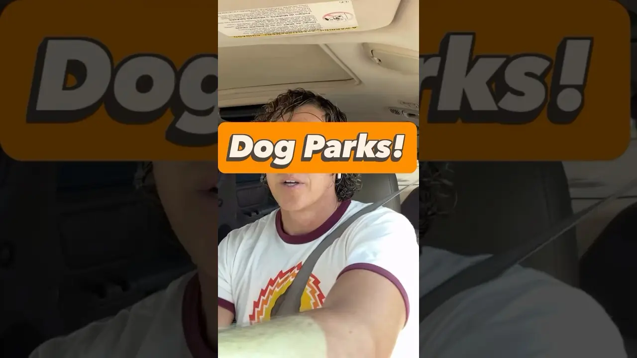 Noah teaches us about dog parks